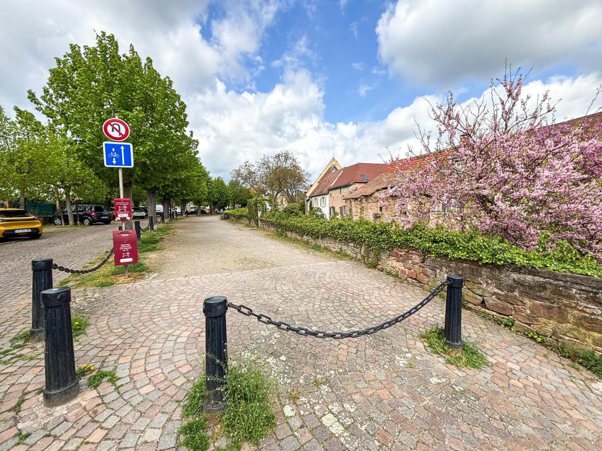 Le Pavillon Des Remparts - Commerces A Proximite - Centre-Ville - Appartement Cosy Obernai Eksteriør billede